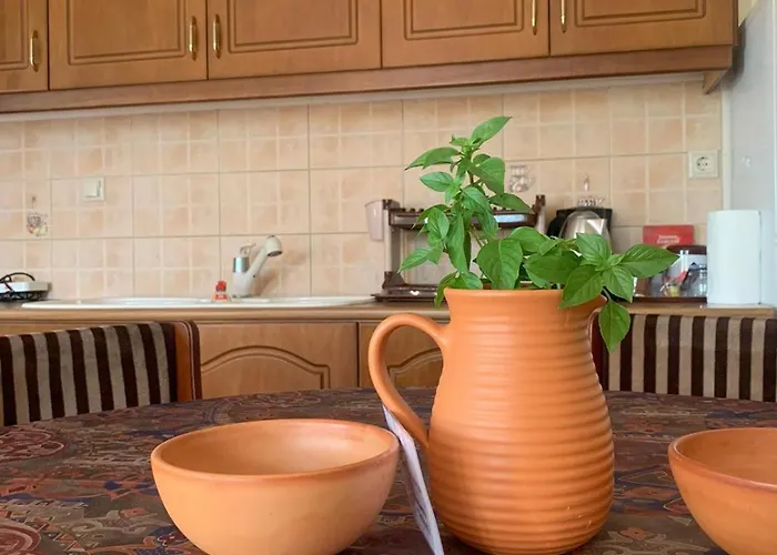 Vatoulia House Néon Oítilon